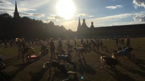 Read more about the article Sport im Park Bootcamp: Muskelkater-Garantie inklusive