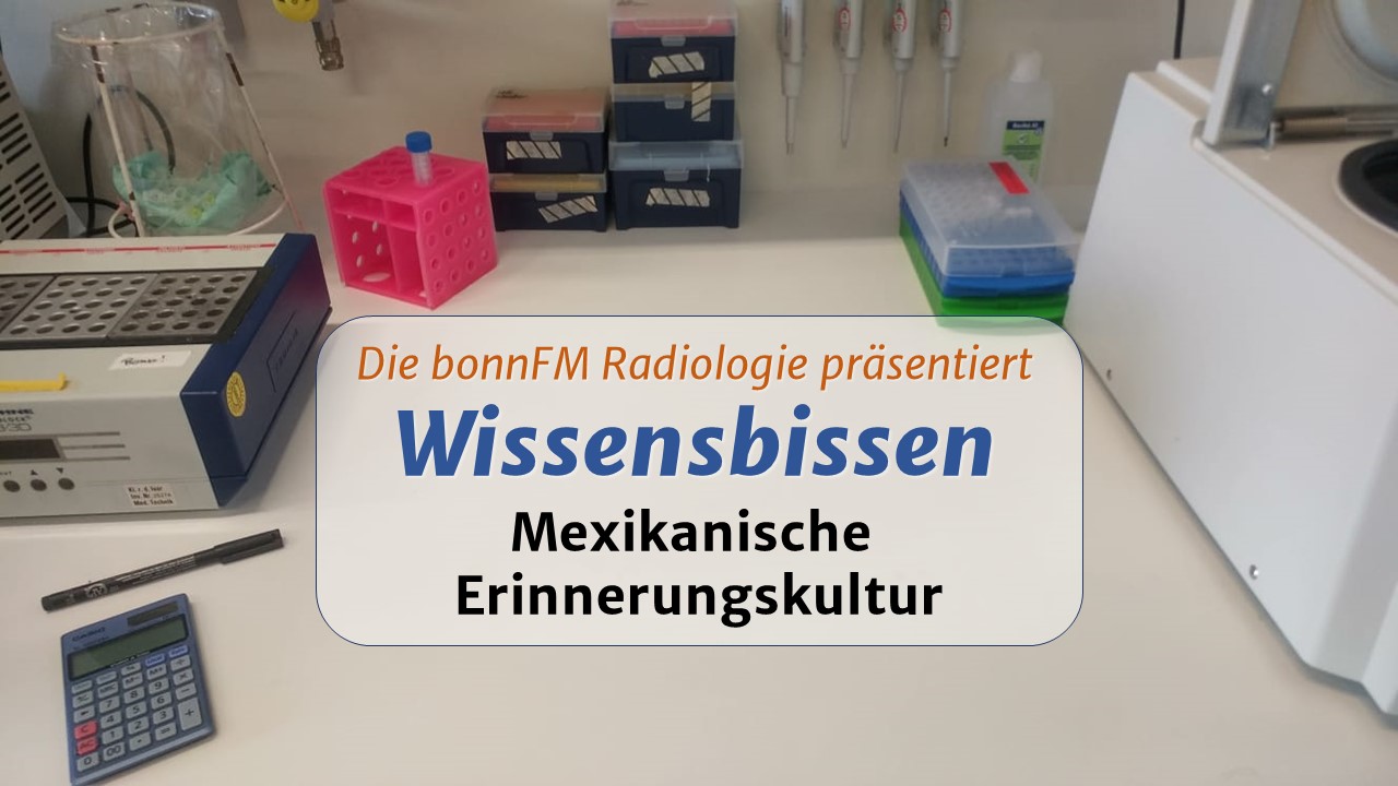 You are currently viewing Wissensbissen Folge 16: Mexikanische Erinnerungskultur – Dr. Antje Gunsenheimer im Interview