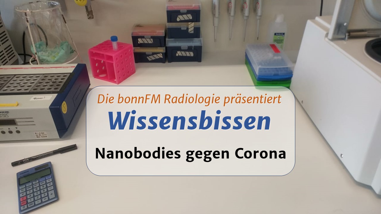 You are currently viewing Wissensbissen 21: Nanobodies gegen Corona – Dr. Paul-Albert König und Dr. Florian Schmidt im Interview