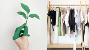 Read more about the article Wie du Greenwashing beim Kleidungskauf vermeiden kannst: Ein Guide durch den Fake-Fair-Fashion-Dschungel